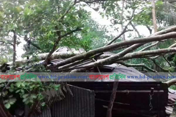 বুলবুলের আঘাতে বিদ্যুৎহীন ৫০ লাখ গ্রাহক, সুন্দরবনে পর্যটক প্রবেশে নিষেধাজ্ঞা