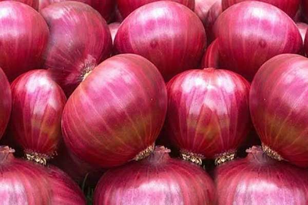 পিয়াজের দাম বৃদ্ধি, সংসদকে কারণ জানালেন মন্ত্রী