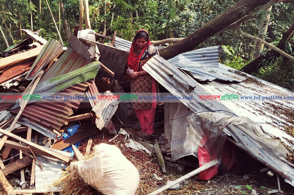 ‘বুলবুল’: মোরেলগঞ্জে ৫০ হাজার কৃষক ও সাড়ে ৬ শ' হেক্টর জমির ফসল ক্ষতিগ্রস্ত 