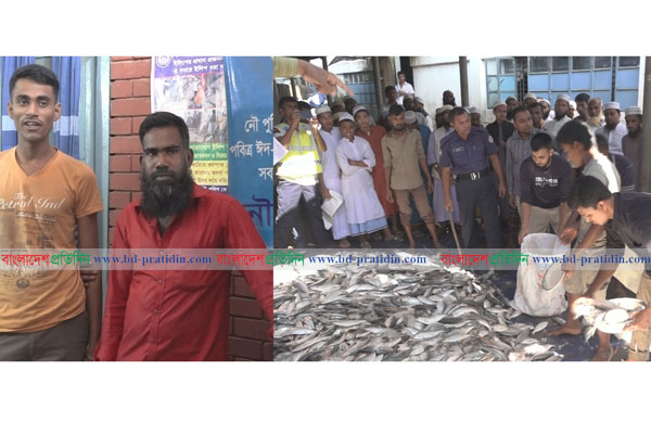 বরিশালে ২০ মণ জাটকা বোঝাই ট্রাক জব্দ, দু’জনকে দণ্ড
