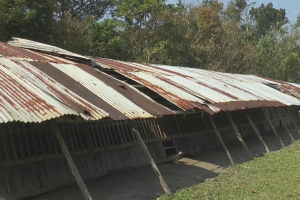 বরিশালে ‘বুলবুলে’ ১৫৯ শিক্ষা প্রতিষ্ঠান ক্ষতিগ্রস্ত 