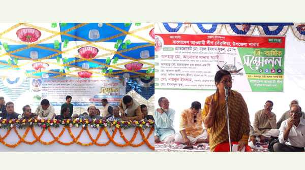 তেঁতুলিয়া উপজেলা আওয়ামী লীগের পাল্টাপাল্টি সম্মেলন