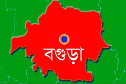 শ্যালকের স্ত্রীকে ধর্ষণের অভিযোগে দুলাভাই আটক 