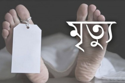 ভাতিজার ছোঁড়া ঢিলের আঘাতে চাচার মৃত্যু