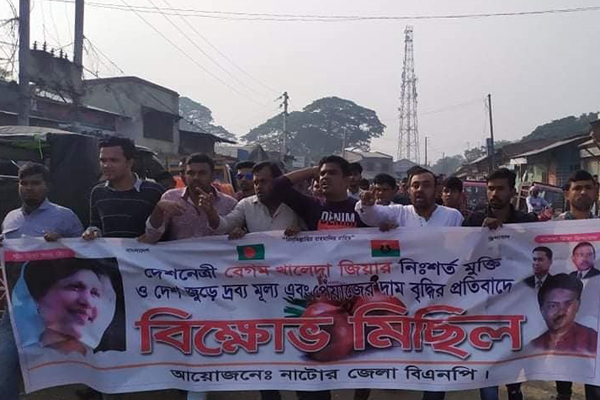 পিয়াজের মূল্যবৃদ্ধির প্রতিবাদে নাটোরে বিএনপির বিক্ষোভ