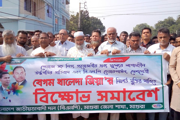 পিয়াজের মূল্যবৃদ্ধির প্রতিবাদে মাগুরায় বিএনপির বিক্ষোভ