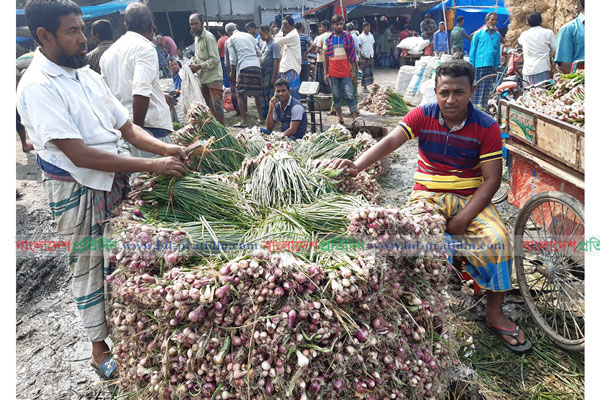 বগুড়ার বাজারে পিয়াজের দাম এখনো চড়া