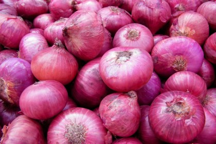 পিয়াজ রফতানি আয়ে শীর্ষে যেসব দেশ