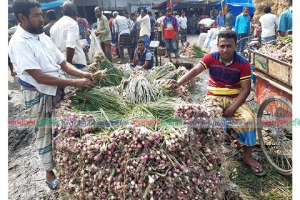 বগুড়ার বাজারে পিয়াজের দাম এখনো চড়া
