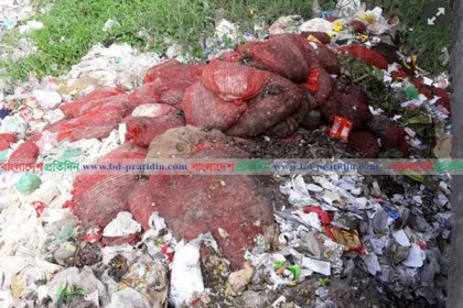 কুমিল্লায় সেতুর নিচে বস্তা বস্তা পঁচা পিয়াজ