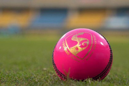 অনেকটাই আলাদা গোলাপি বল