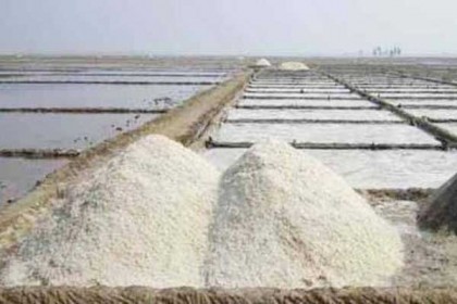 চাহিদার চেয়ে দেশে ২ লাখ ২৪ হাজার টন লবণ বেশি