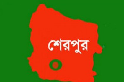 শেরপুরে ভাতিজার ধাক্কায় চাচার মৃত্যু