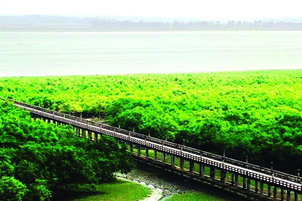 ডিজিটাল দ্বীপ হচ্ছে মহেশখালী