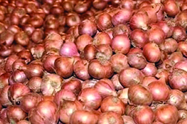পিয়াজের দাম এখনো চড়া