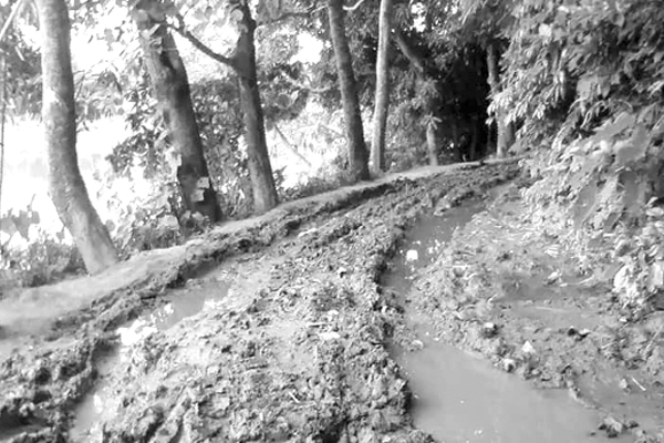 একটি রাস্তার জন্য ভোগান্তি চার উপজেলার মানুষের
