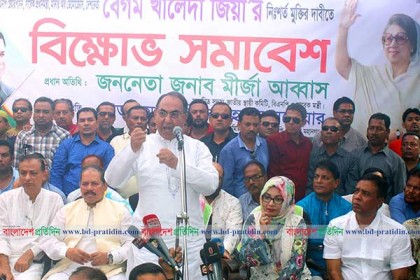 'বিনা ভোটের সরকার বিনা কারণে খালেদা জিয়াকে আটকে রেখেছে' 