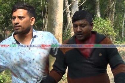 ইউপি সদস্যের নেতৃত্বে সরকারি গাছ কর্তন, হামলায় আহত ৬