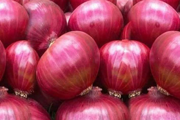 ৩৮ টাকার পিয়াজ বিক্রি হচ্ছে ২০০ টাকায়!