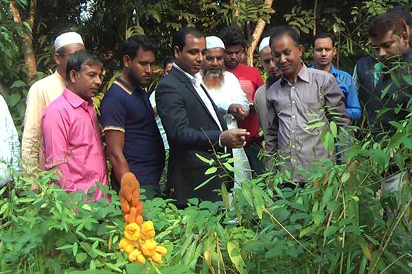 নাটোরে খোলাবাড়িয়া ঔষুধি গ্রাম উন্নয়ন সমিতির অফিস উদ্বোধন