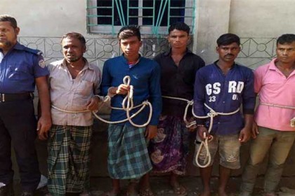 ব্রাহ্মণবাড়িয়ায় চোরাই গরুসহ গ্রেফতার ৫