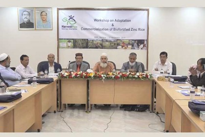 বরিশালে ‘জিংক ধানের বাণিজ্যিকীকরণ’ বিষয়ক কর্মশালা
