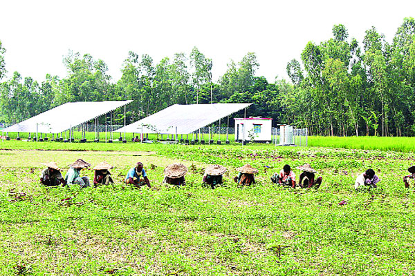 সোলার প্যানেল স্বল্প খরচে সেচ সুবিধা