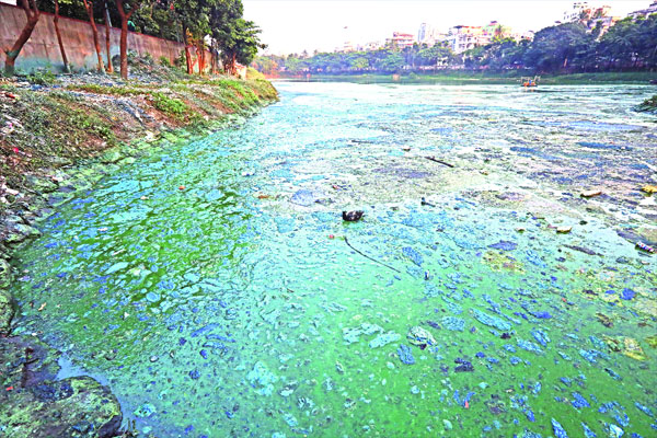 দূষণ