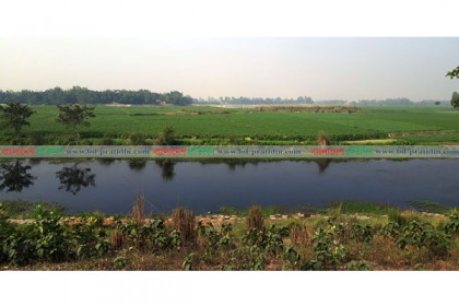 নদীর বুকে শাক-সবজির চাষাবাদ 