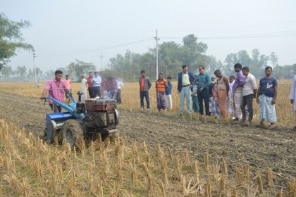 দিনাজপুরে গম-ভুট্টার আধুনিক উৎপাদনে কৃষকদের প্রশিক্ষণ