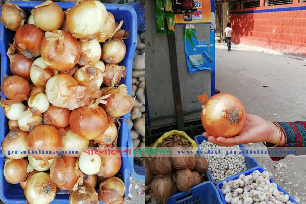 রাজধানীতে এবার পাওয়া যাচ্ছে ‘ডালিম’ পিয়াজ