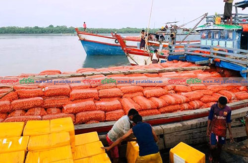 নভেম্বরে মিয়ানমার থেকে এসেছে ২১ হাজার ৫৬০ মেট্রিক টন পিয়াজ