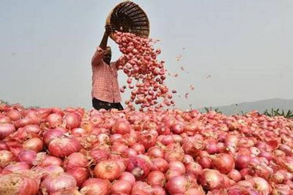 এবার তুরস্ক থেকে পিয়াজ আনছে ভারত