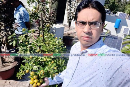 খানসামায় ইউএনও’র শখের ছাদ বাগান