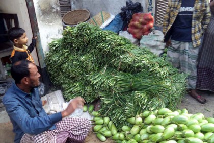 নাটোরের গুরুদাসপুরে পিয়াজের বিকল্প পাতা, আটি ১০ টাকা 