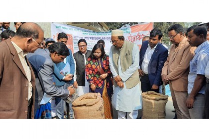 পঞ্চগড়ে কৃষকের কাছে ধান কেনা শুরু