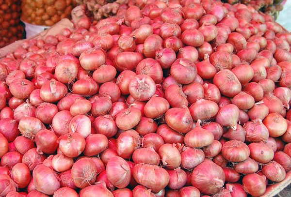 নিয়ন্ত্রণে আসছে না পিয়াজের দাম, কেজি ২৫০ টাকা