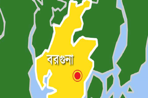 বরগুনায় দুর্নীতি বিরোধী দিবস পালিত