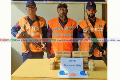 টেকনাফে দুই লাখ ৮০ হাজার ইয়াবা উদ্ধার