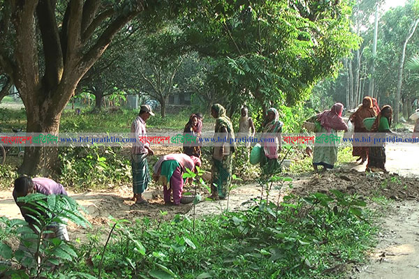 নাটোরে অতিদরিদ্রের কর্মসংস্থান প্রকল্পে হরিলুট