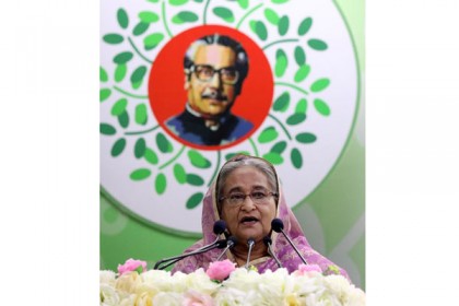 'একজন অফিসার ইচ্ছে করলে জেলা-উপজেলার চেহারা পাল্টে দিতে পারেন'