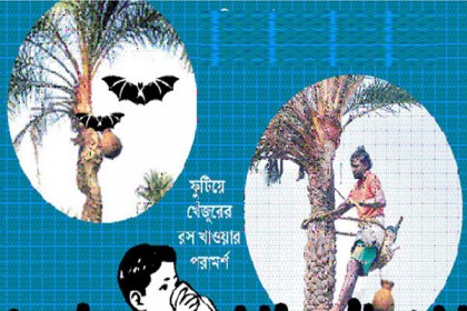 নিপাহ রোগে আতঙ্ক নয়, দরকার সচেতনতা