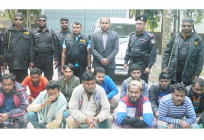 গলাচিপায় ২ শ' মণ জাটকা জব্দ, ১২ জনকে কারাদণ্ড