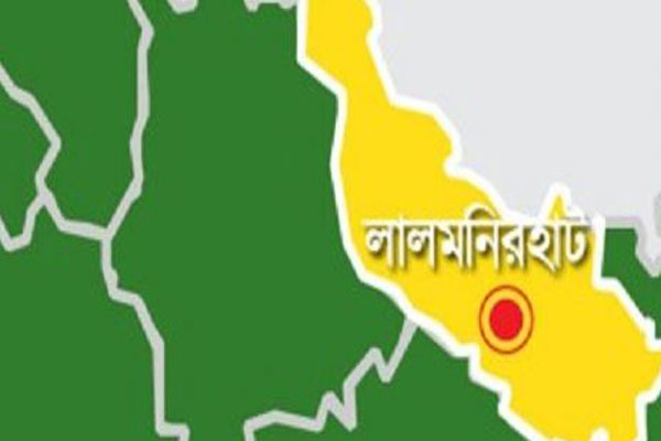 কালীগঞ্জ সীমান্তে ১১ ভারতীয় গরু আটক 