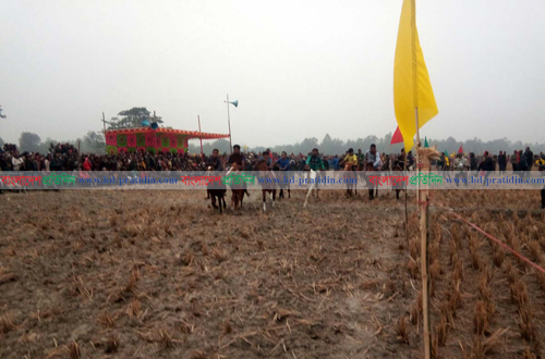 ঘোড়দৌড় প্রতিযোগিতা দেখতে মানুষের ঢল