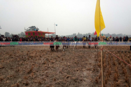 ঘোড়দৌড় প্রতিযোগিতা দেখতে মানুষের ঢল