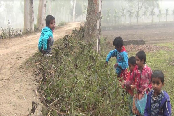 পঞ্চগড়ে ঘন কুয়াশায় জনজীবন স্থবির 