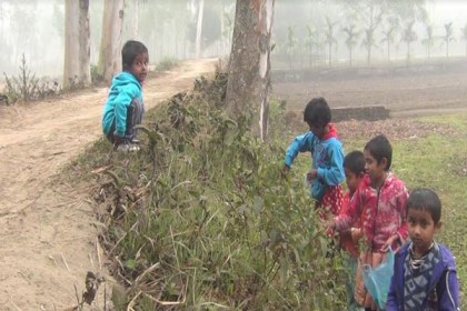পঞ্চগড়ে ঘন কুয়াশায় জনজীবন স্থবির 
