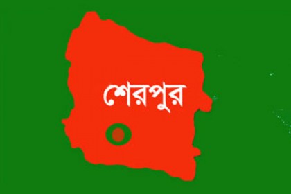 জমি সংক্রান্ত বিরোধে ভাইয়ের হাতে ভাই খুন