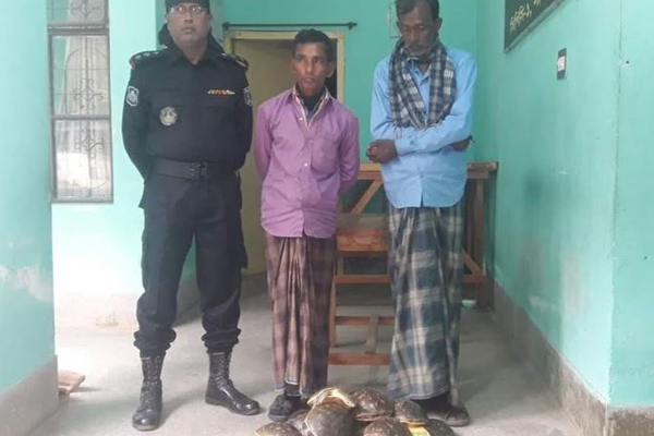 সাতক্ষীরায় কচ্ছপসহ দুই ব্যবসায়ী আটক
